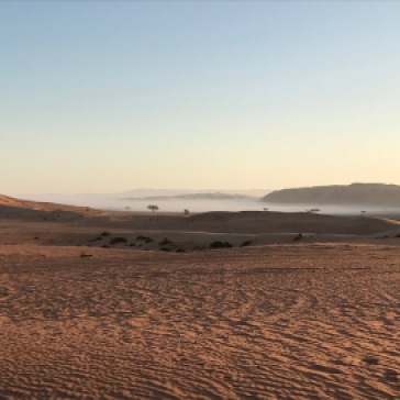 Morning mist over the desert